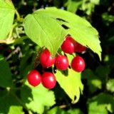 1609F 164 Spree und Havel